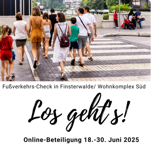 Bild vergr&ouml;&szlig;ern: Pilotprojekt Fu�verkehrscheck