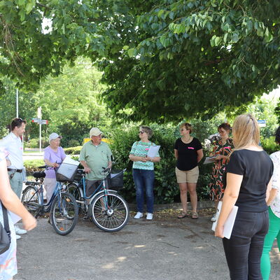 Bild vergr&ouml;&szlig;ern: Fu&szlig;verkehrscheck Pilotprojekt Begehung