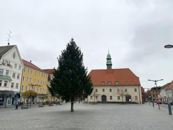 Bild vergr&ouml;&szlig;ern: Weihnachtsbaum-Markt-2023
